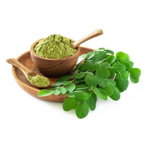 Moringa has been used for centuries to treat over 300 health problems – Nutri Intact