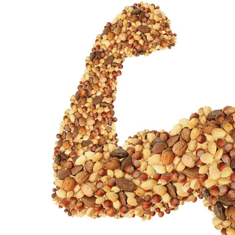 Nuts are a natural source of plant-based protein – Nutri Intact